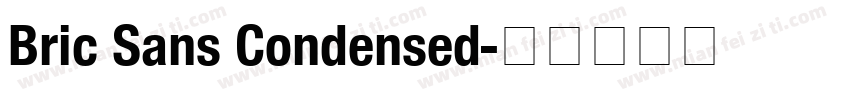 Bric Sans Condensed字体转换